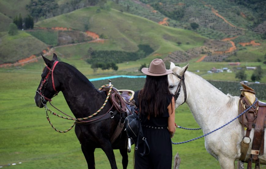 Wings & Hooves: A Dual Adventure in Colombian Wilderness