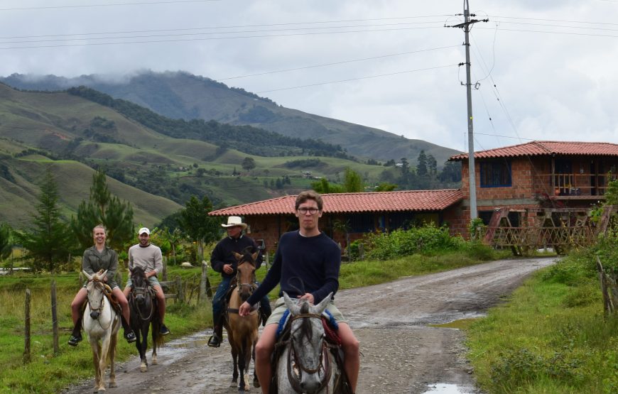 Wings & Hooves: A Dual Adventure in Colombian Wilderness