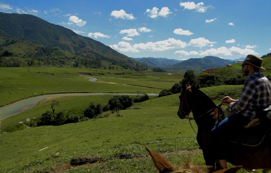 Wings & Hooves: A Dual Adventure in Colombian Wilderness