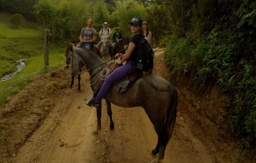 Wings & Hooves: A Dual Adventure in Colombian Wilderness