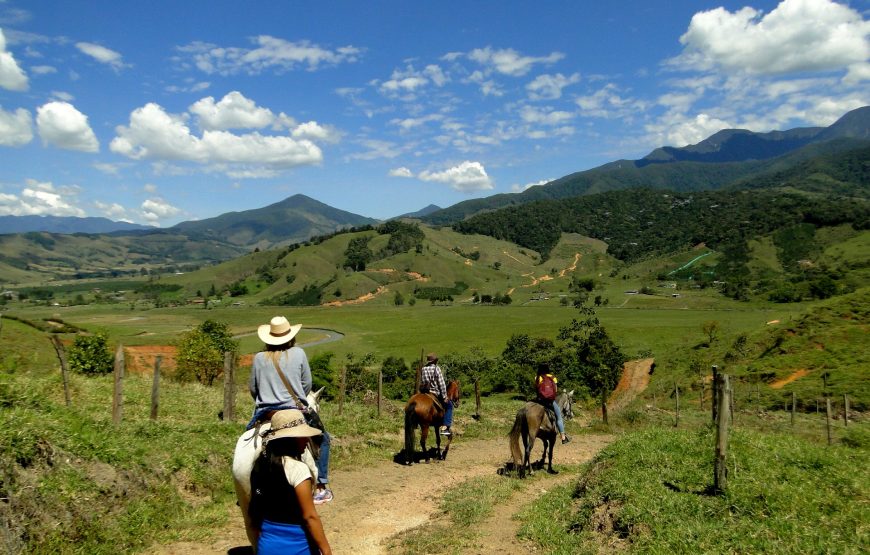 Wings & Hooves: A Dual Adventure in Colombian Wilderness