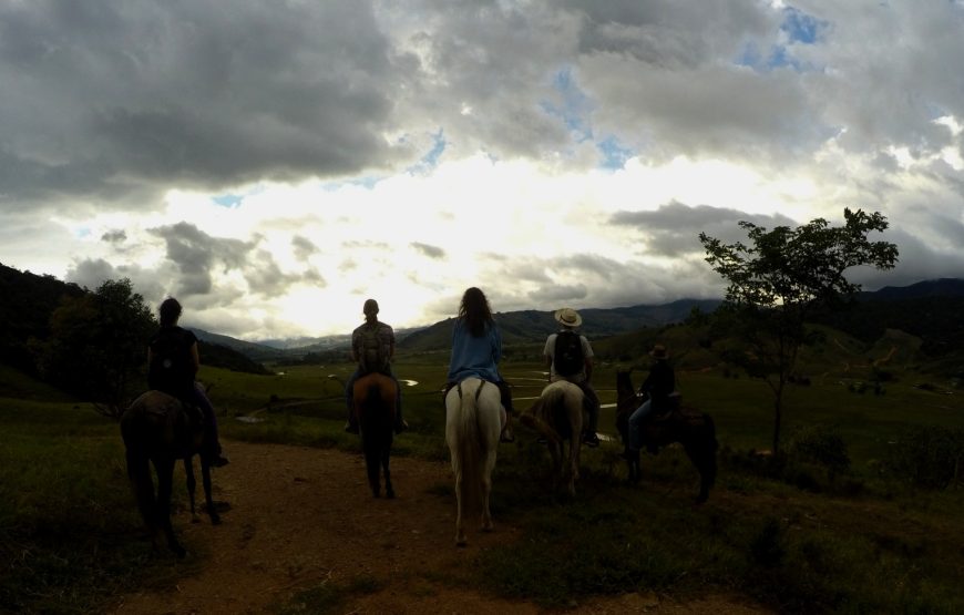 Wings & Hooves: A Dual Adventure in Colombian Wilderness