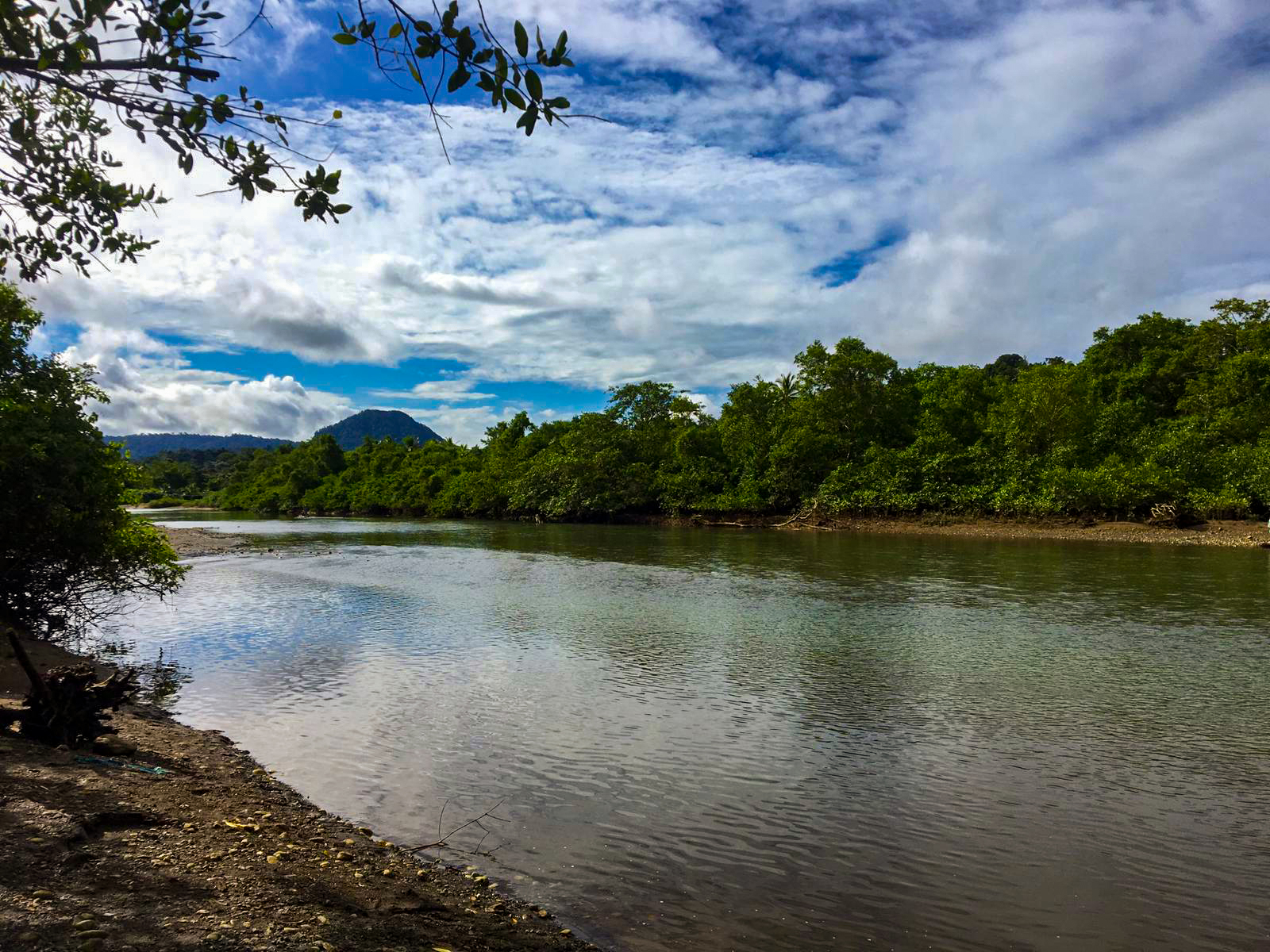 Discover the Wonders of Nuquí: Whale Watching and Wildlife in Colombia’s Pacific Paradise